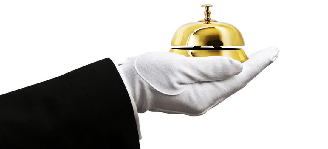 Velvet Glove Service