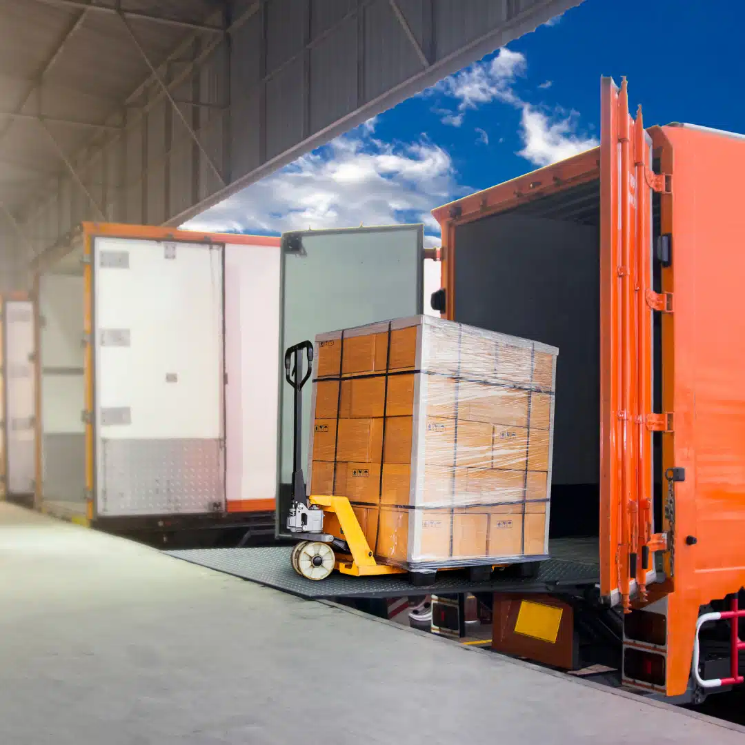 Asset Recovery